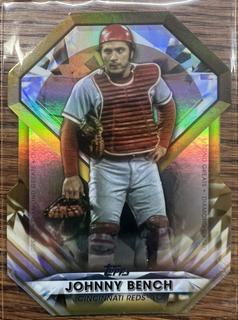 Johnny Bench