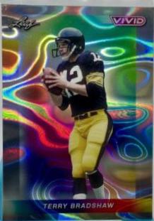 Terry Bradshaw