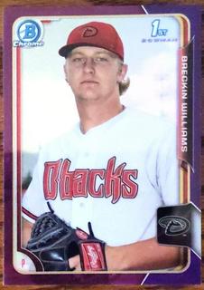Breckin Williams