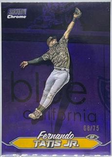 Fernando Tatis Jr.
