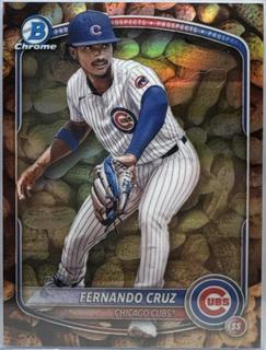 Fernando Cruz