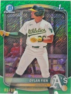 Dylan Fien