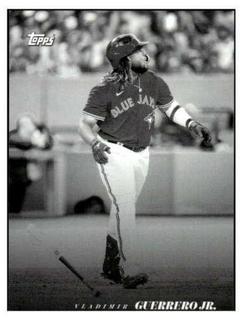 Vladimir Guerrero Jr