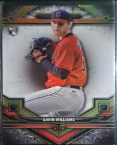 Gavin Williams