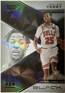 Dalen Terry