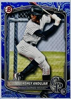 Ashly Andujar