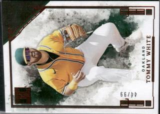 Tommy White