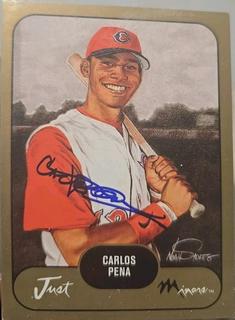 Carlos Pena