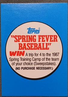 Spring Fever Baseball