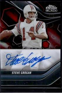 Steve Grogan