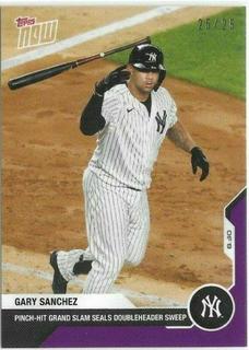 Gary Sanchez