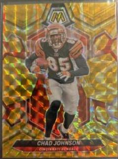 Chad Johnson