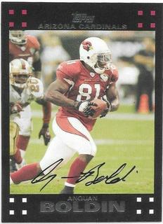 Anquan Boldin