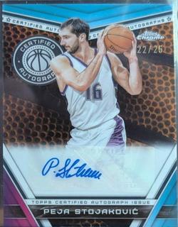 Peja Stojakovic