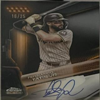 Fernando Tatis Jr.
