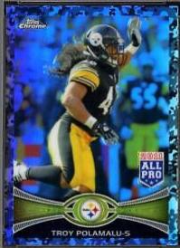 Troy Polamalu