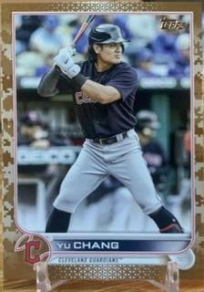 Yu Chang