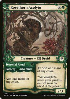 Rosethorn Acolyte & Seasonal Ritual