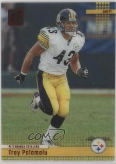 Troy Polamalu
