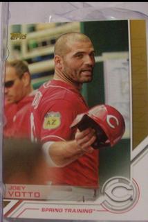 Joey Votto