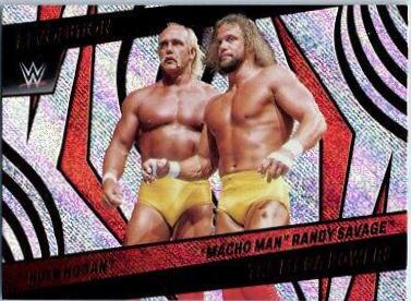 Macho Man Randy Savage, Hulk Hogan #131 Wrestling Cards 2022 Panini Revolution WWE