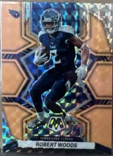 Robert Woods