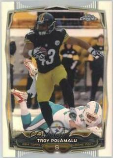 Troy Polamalu