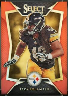 Troy Polamalu