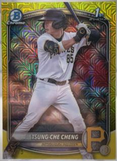 Tsung-Che Cheng