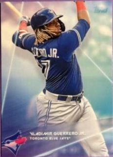 Vladimir Guerrero Jr