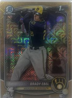 Brady Ebel