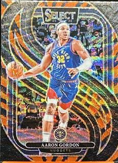 Aaron Gordon