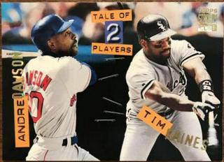 Andre Dawson / Tim Raines