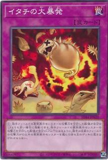 Ferret Flames SD44-JP039