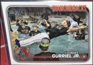 Lourdes Gurriel Jr.