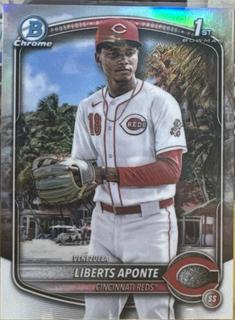 Liberts Aponte