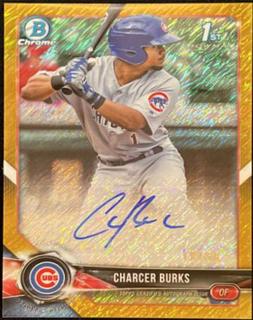 Charcer Burks