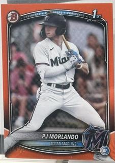 PJ Morlando