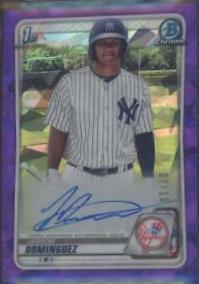 Jasson Dominguez