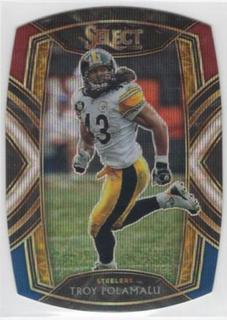 Troy Polamalu