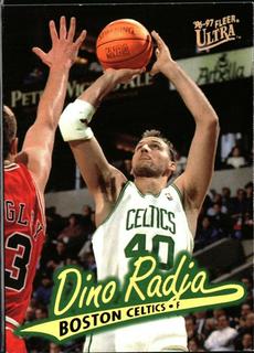 Dino Radja