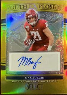 Max Borghi