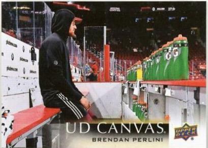 Brendan Perlini #C3
