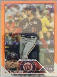 Luke Voit