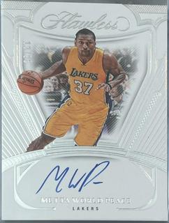 Metta World Peace