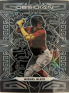 Miguel Bleis