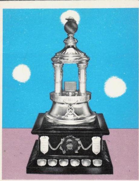 Vezina Trophy #259 Hockey Cards 1970 O-Pee-Chee