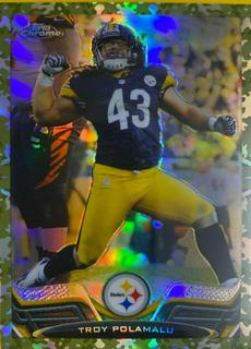Troy Polamalu