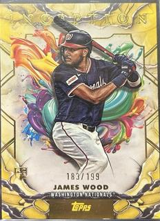 James Wood