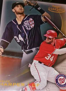 Bryce Harper